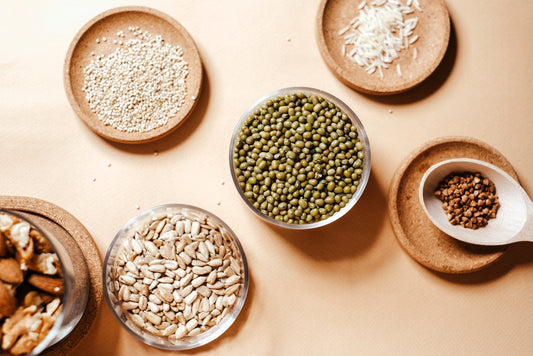 What Plant Based Protein Powder is Best? A Comprehensive Guide